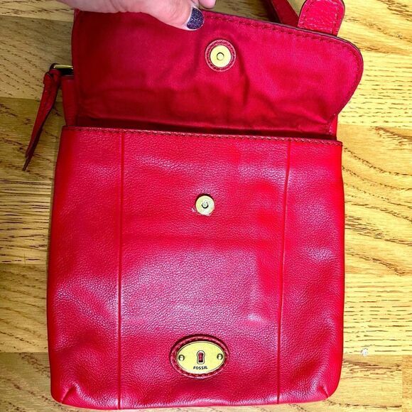 NWOT Beautiful Fossil Crossbody Bag - Picture 9 of 16